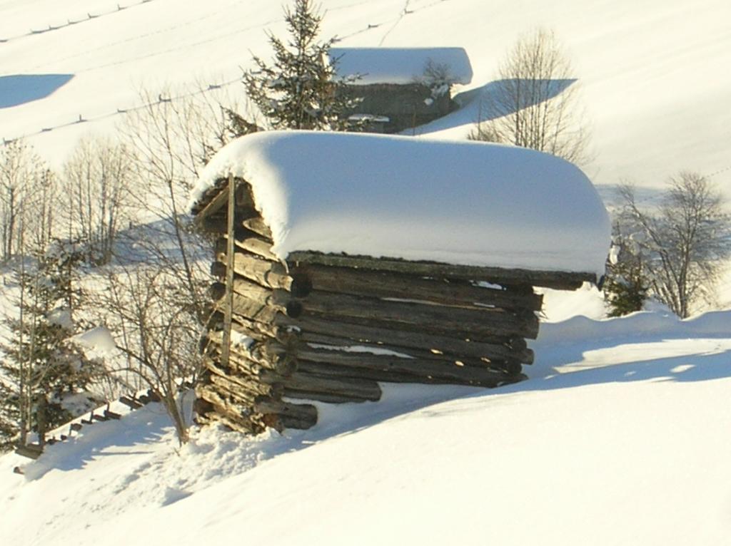 Haus Konrad Apartamento Reith im Alpbachtal Exterior foto