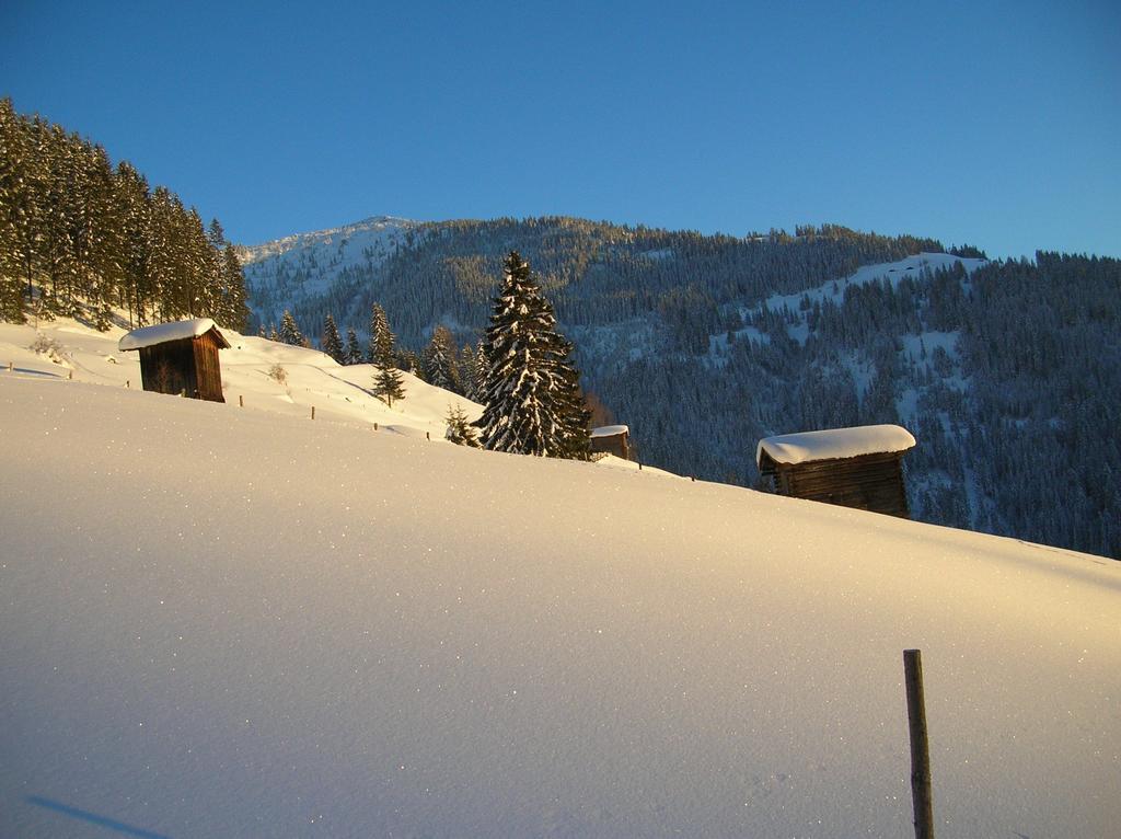 Haus Konrad Apartamento Reith im Alpbachtal Exterior foto